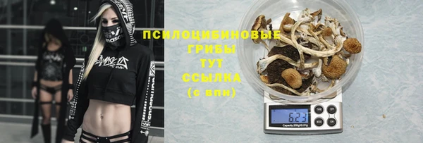 соль ск Медвежьегорск