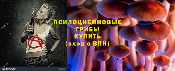 соль ск Медвежьегорск