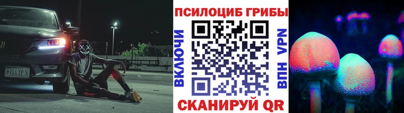 Псилоцибиновые грибы Cubensis  Купить закладки  Холм 